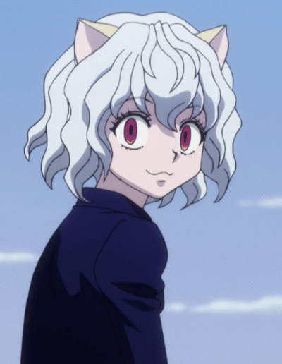 hunter x hunter neferpitou anime art