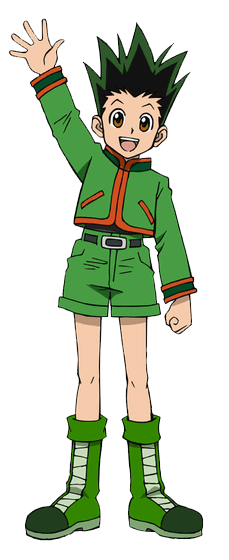 Hunter x Hunter cover art featuring Gon Freecss